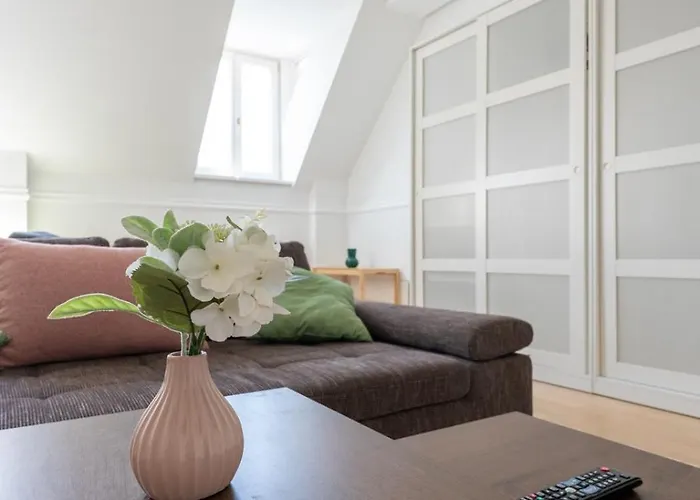 Dachgeschoss Im Altbaustil Apartment